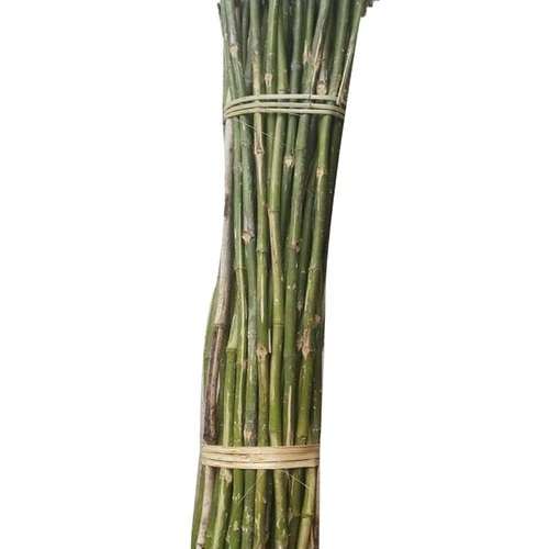 10 Feet Bamboo Pole