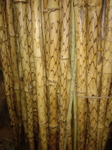 Bamboo Dry Sticks