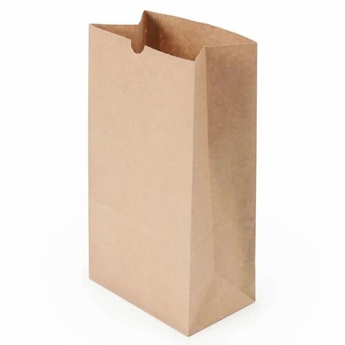 Brown Paper Carry Bag
