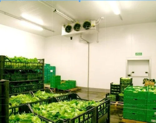 Cold Room For Vegetables & Fruits