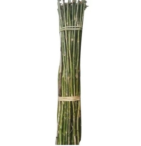 Natural Bamboo Stick