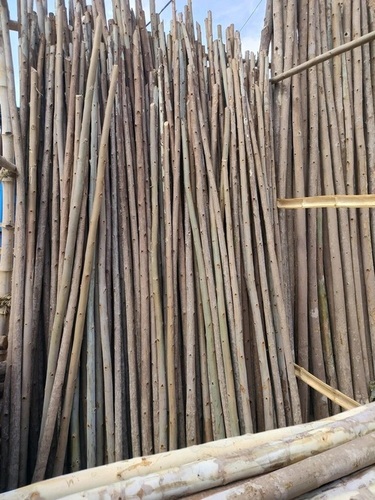 Natural Dry Bamboo Poles