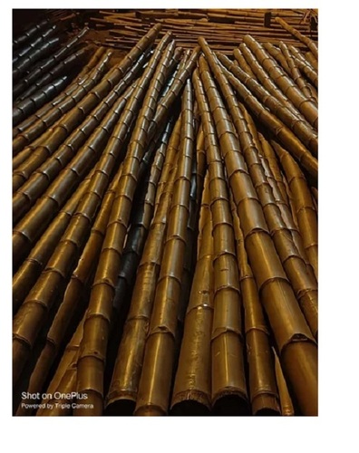 Treated Bamboo Pole