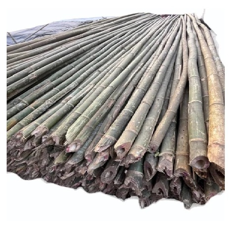 28-30 Feet Bullet Bamboo Pole For Tent Pole And Scaffolding