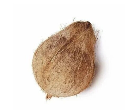 A Grade Semi Husked Coconut