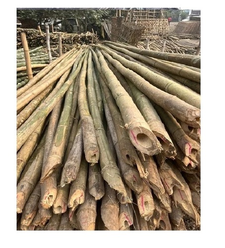 Assam Bamboo Pole 24 Feet For Construction