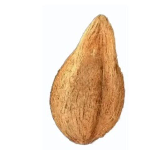 B Grade Pollachi Whole Coconut