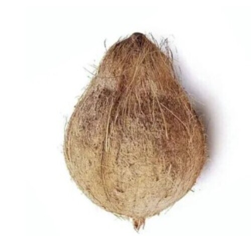 B Grade Semi Husked Coconuts