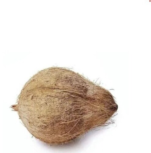 Brown Semi Husked Coconuts