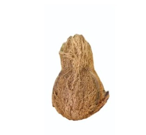 Dry Pollachi Full Husk Coconut