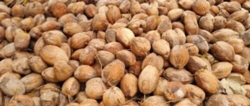 Farm Fresh Brown Coconut