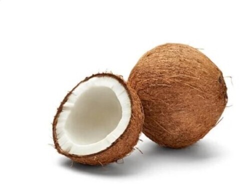Fresh Indian Plain Coconut