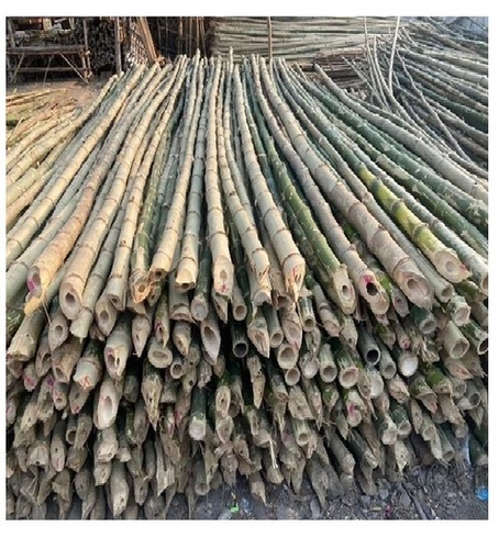 Long Round Desi Big Bamboo Pole