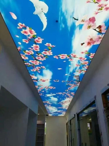 Multicolor Printed Stretch Ceiling