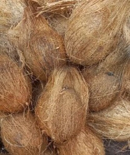 Pollachi Fresh Coconut