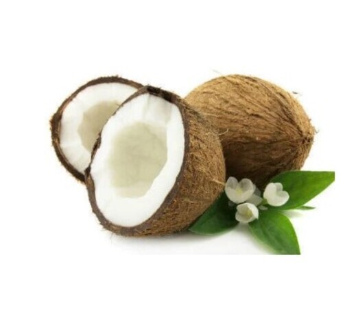 Pollachi Fresh Coconut