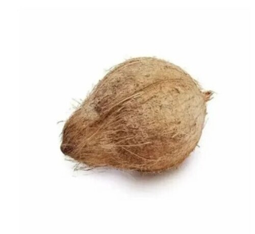 Semi Husked Fresh Coconut
