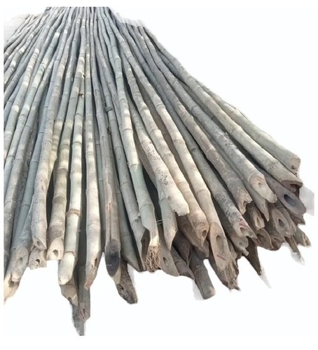 20 Feet Bamboo Pole For Construction and Support