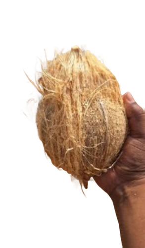 400 Gm Pollachi Coconut