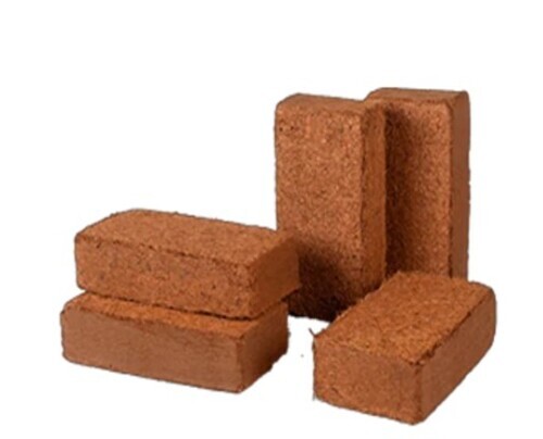 650g Cocopeat Briquettes