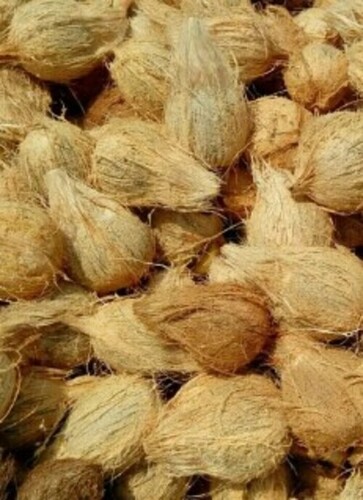 A Grade Pollachi Fresh Coconut