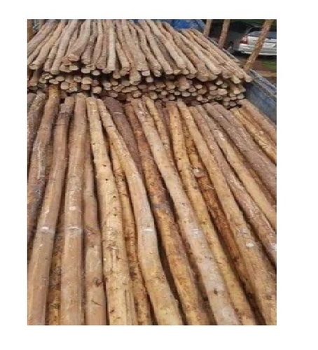 Bamboo 2 Inches Diameter Bans Ki Balli