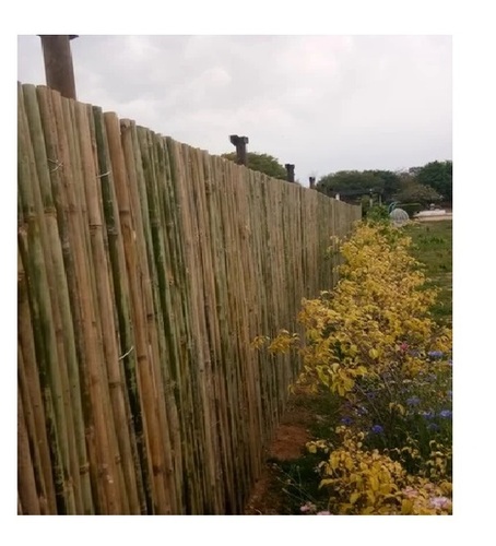 Bamboo Wall for garden