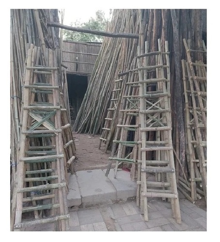 Bans Ki Seedhi Bamboo Ladder