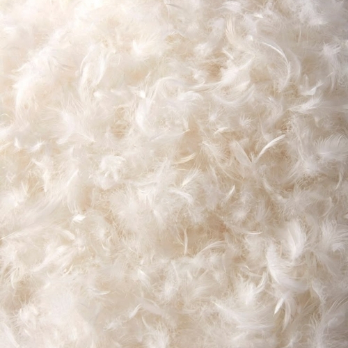 Down Pillow Feather - Color: White