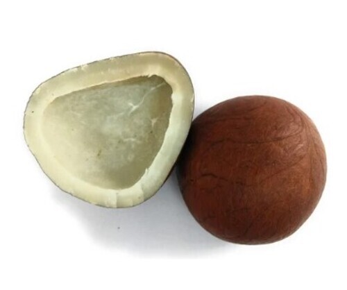 Dry Coconut Copra