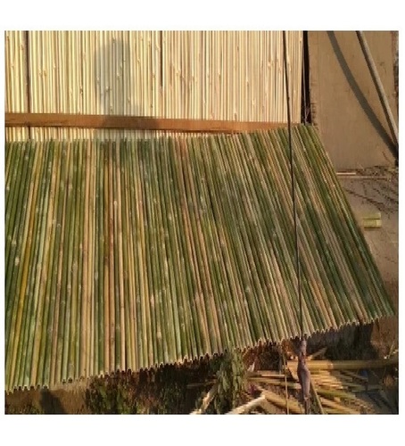 Low Cost Bamboo Fencing