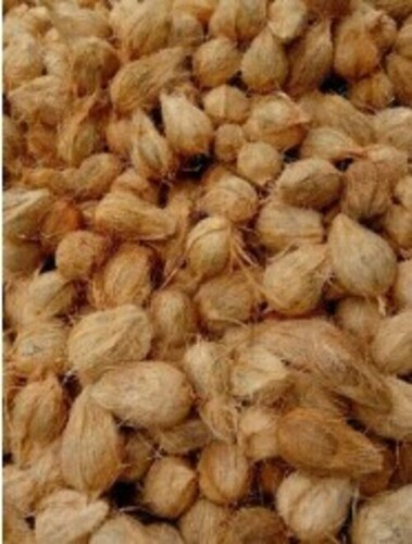 Organic Fresh Coconut