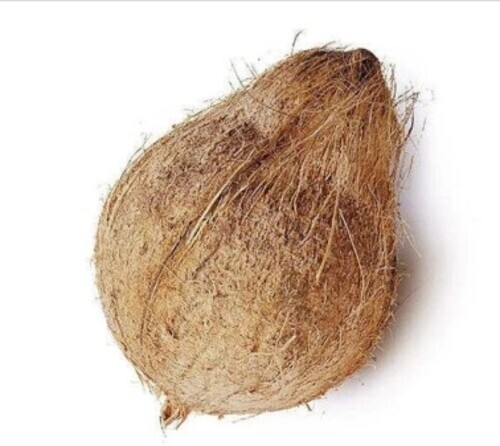 Organic Semi Husk Coconuts