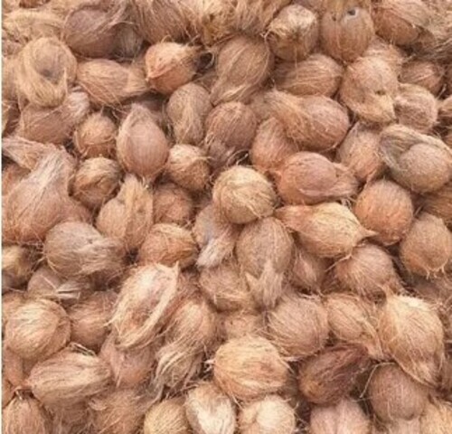 Organic Semi Husked Coconuts