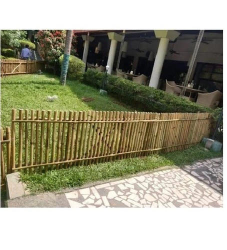 Bamboo Fencing