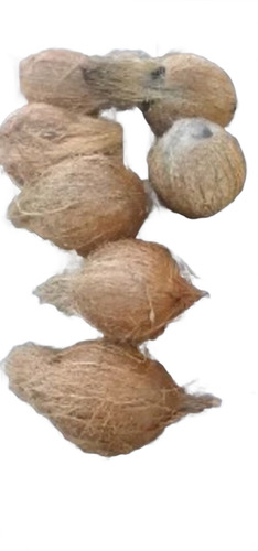 Pollachi Brown Coconut