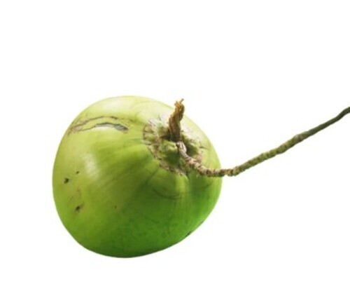 Pollachi Tender Coconut