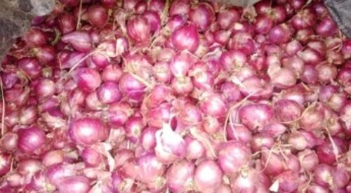 Red Onions