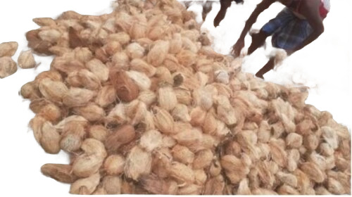 Semi Husked Mature Coconut