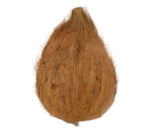 Semi Husked Whole Coconut