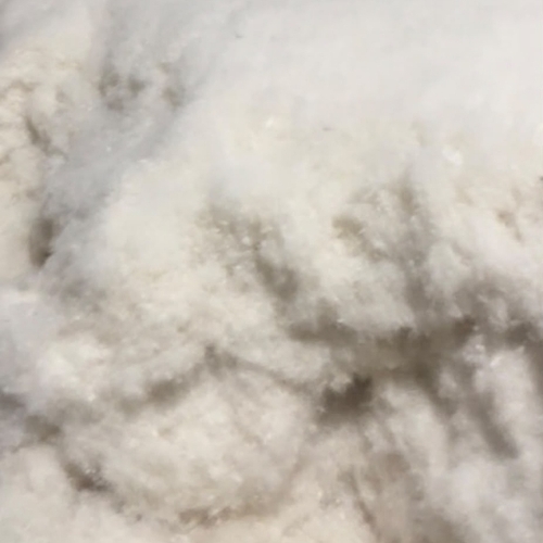 White Pillow Feather