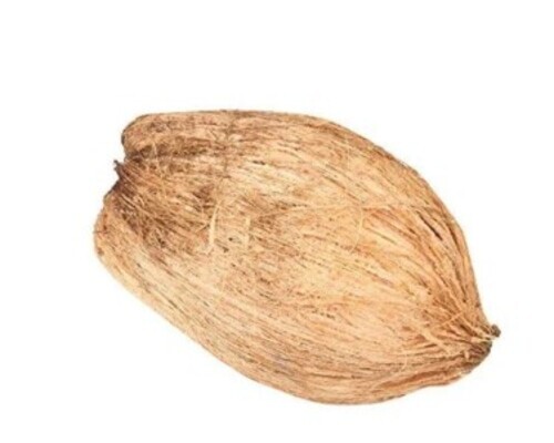 Whole Semi Husked Coconut