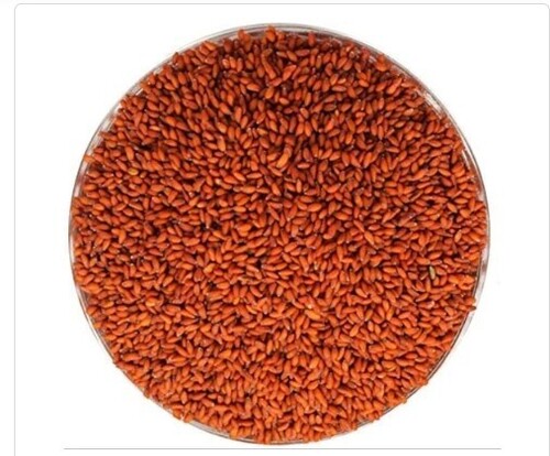Asaliyo Seeds
