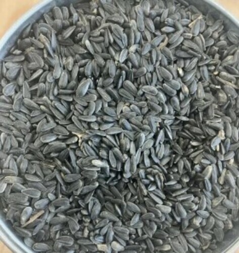 Black Sunflower Seeds