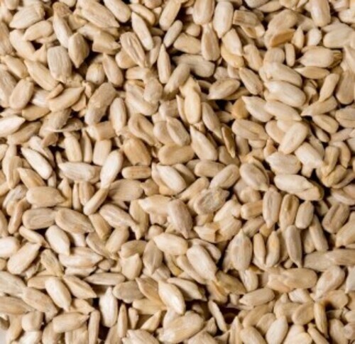 Dried Sunflower Oil Seeds