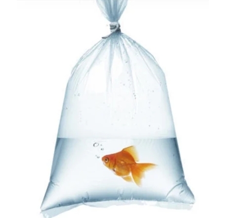 Fish Poly Bags