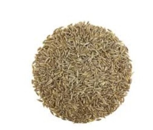 Jeera Cumin Seeds