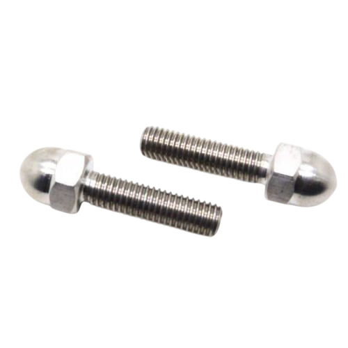 Titanium Hex Dome Bolt