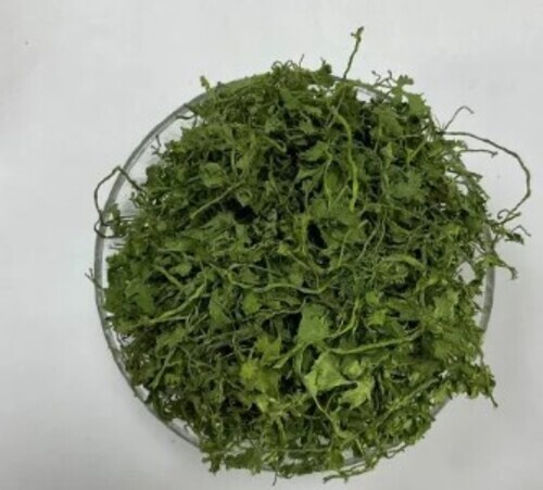 Natural Dehydrated Coriander Leave