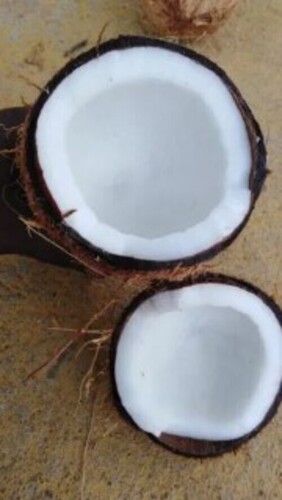 Pollachi Coconut